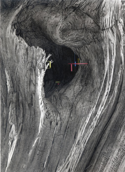 Undercutting Ansel Adams 2