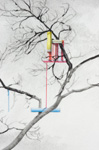 Undercutting a Tree - detail