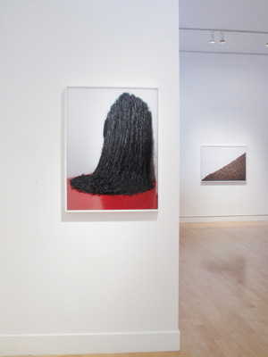 Chris Gentile