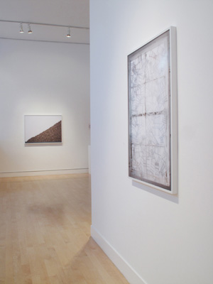 Chris Gentile