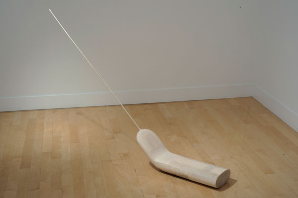 Seth Koen