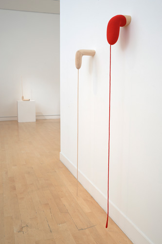 Seth Koen