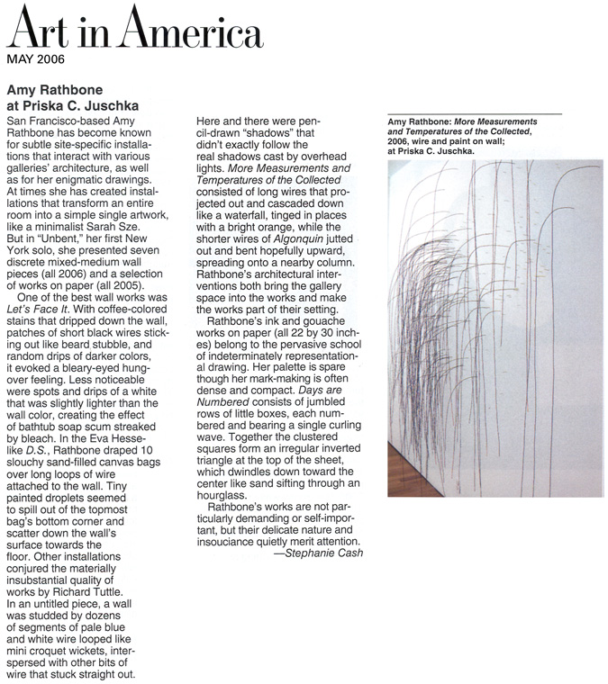 Art in America - Amy Rathbone